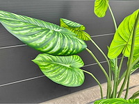 Kunstplant met pot - afbeelding 3 van  6