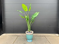 Kunstplant met pot - afbeelding 1 van  10