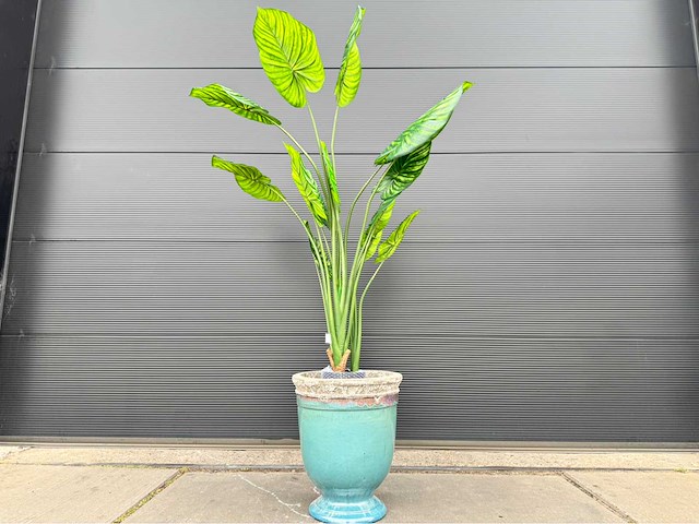 Kunstplant met pot - afbeelding 3 van  10