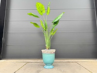 Kunstplant met pot - afbeelding 4 van  10