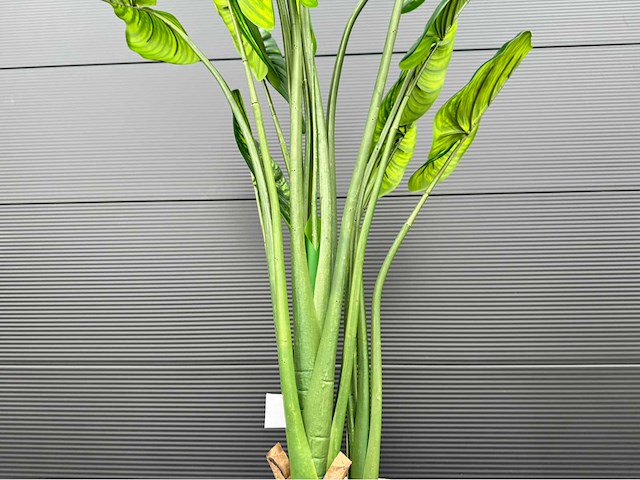 Kunstplant met pot - afbeelding 6 van  10