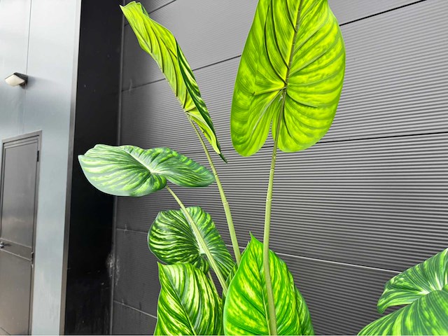 Kunstplant met pot - afbeelding 8 van  10