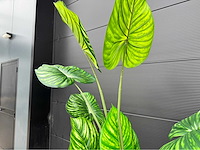 Kunstplant met pot - afbeelding 8 van  10