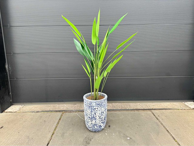Kunstplant met pot - afbeelding 1 van  9