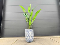Kunstplant met pot - afbeelding 2 van  9