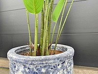 Kunstplant met pot - afbeelding 4 van  9