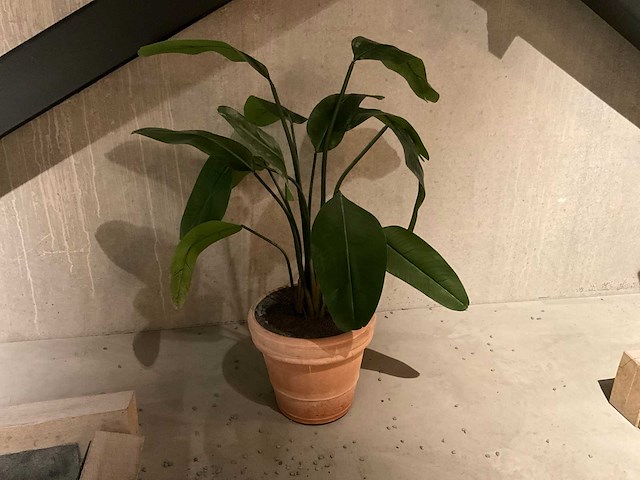 Kunstplant met pot - afbeelding 1 van  3