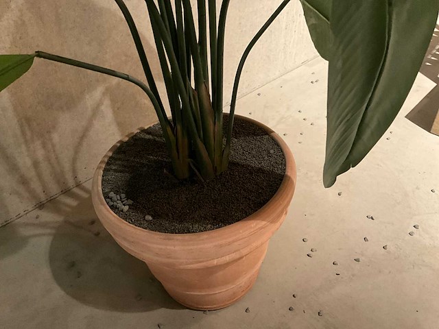 Kunstplant met pot - afbeelding 3 van  3