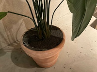 Kunstplant met pot - afbeelding 3 van  3