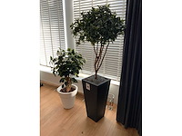 Kunstplant met pot - afbeelding 2 van  5