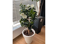 Kunstplant met pot - afbeelding 4 van  5