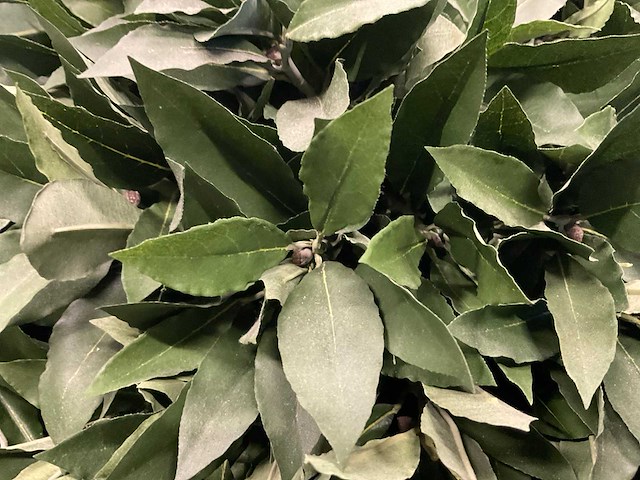 Kunstplant met pot - afbeelding 4 van  4