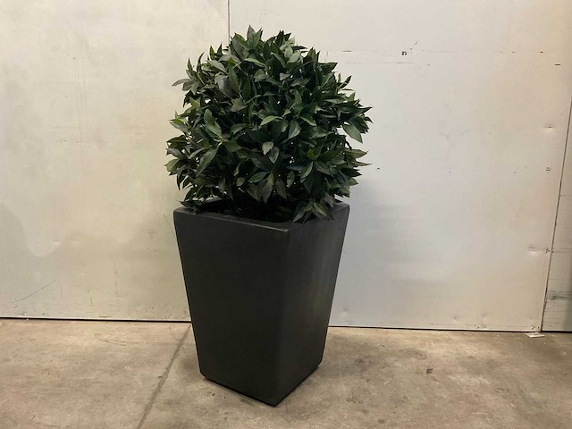 Kunstplant met pot - afbeelding 1 van  6