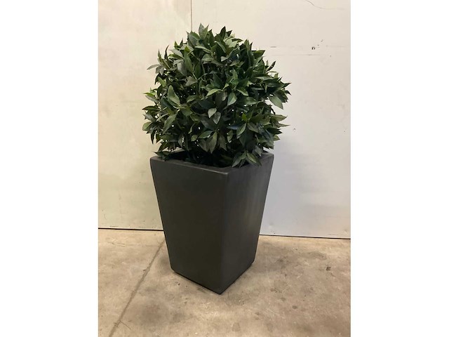 Kunstplant met pot - afbeelding 2 van  6