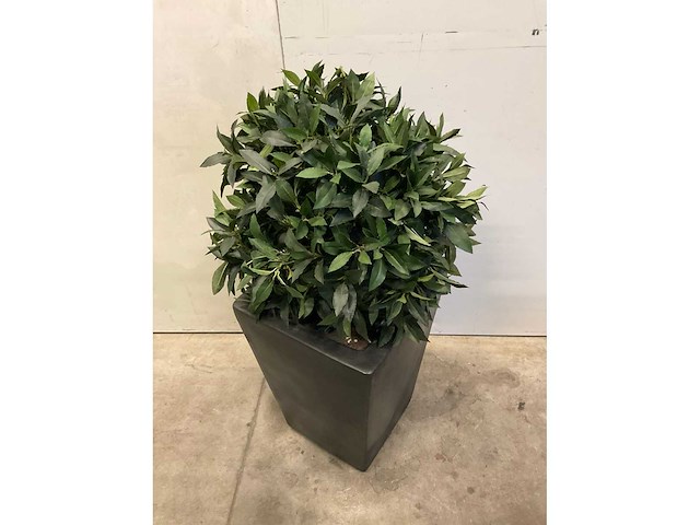 Kunstplant met pot - afbeelding 3 van  6