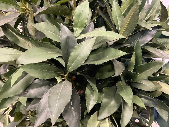 Kunstplant met pot - afbeelding 4 van  6