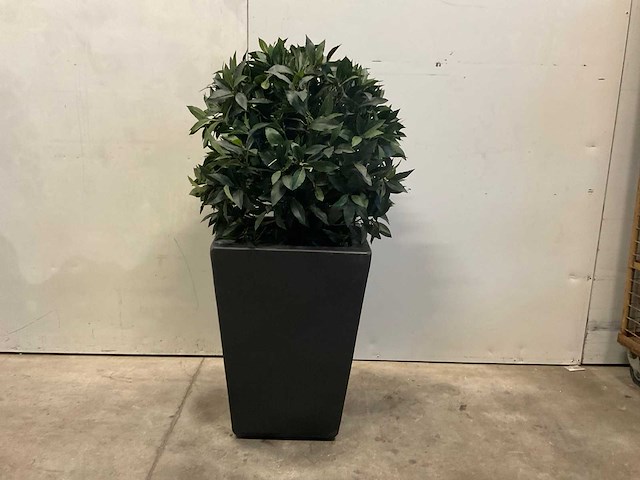 Kunstplant met pot - afbeelding 5 van  6