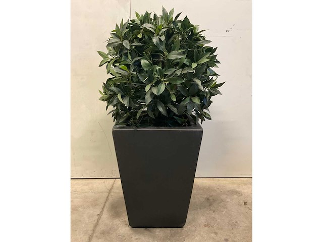 Kunstplant met pot - afbeelding 6 van  6
