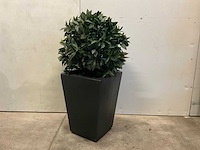 Kunstplant met pot - afbeelding 1 van  6