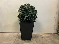 Kunstplant met pot - afbeelding 5 van  6
