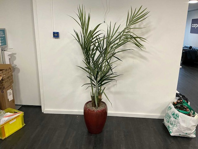 Kunstplant met pot - afbeelding 2 van  3