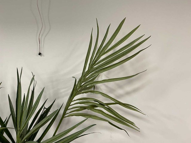 Kunstplant met pot - afbeelding 1 van  3