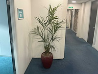 Kunstplant met pot - afbeelding 1 van  3