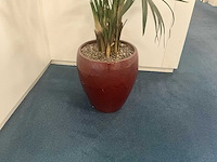 Kunstplant met pot - afbeelding 3 van  3