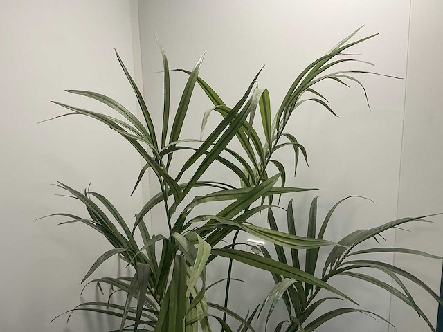 Kunstplant met pot - afbeelding 2 van  3