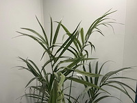 Kunstplant met pot - afbeelding 2 van  3