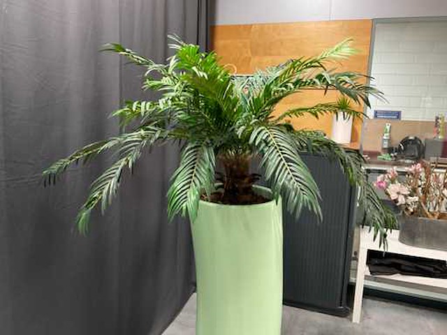 Kunstplant met pot - afbeelding 3 van  7