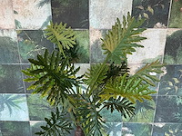 Kunstplant met pot - afbeelding 2 van  3