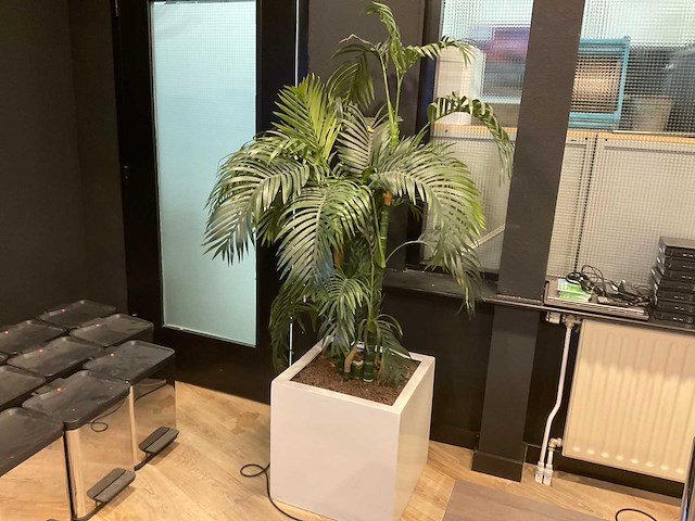 Kunstplant met pot - afbeelding 1 van  4