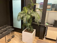 Kunstplant met pot - afbeelding 1 van  4
