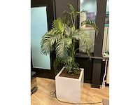 Kunstplant met pot - afbeelding 2 van  4