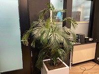 Kunstplant met pot - afbeelding 3 van  4