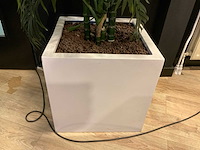 Kunstplant met pot - afbeelding 4 van  4