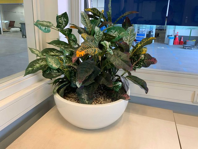 Kunstplant met pot - afbeelding 3 van  5