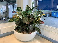 Kunstplant met pot - afbeelding 4 van  5