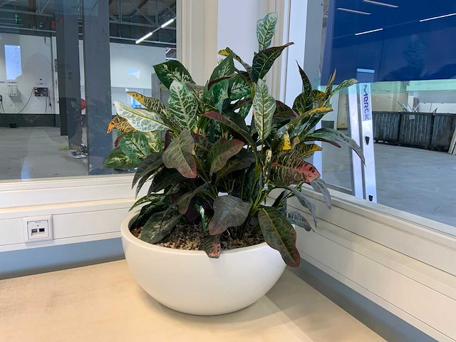 Kunstplant met pot - afbeelding 5 van  5