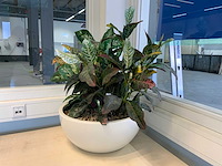 Kunstplant met pot - afbeelding 5 van  5