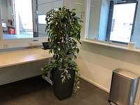 Kunstplant met pot - afbeelding 1 van  2