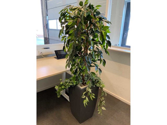 Kunstplant met pot - afbeelding 2 van  2