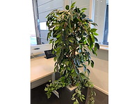 Kunstplant met pot - afbeelding 4 van  4