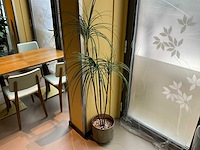 Kunstplant met pot - afbeelding 1 van  3