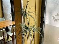 Kunstplant met pot - afbeelding 2 van  3