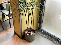 Kunstplant met pot - afbeelding 3 van  3