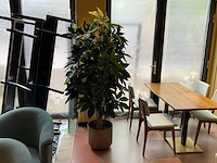 Kunstplant met pot - afbeelding 1 van  3