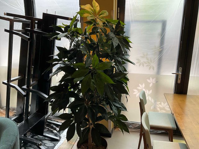 Kunstplant met pot - afbeelding 2 van  3