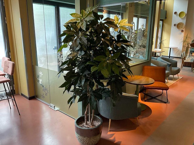 Kunstplant met pot - afbeelding 1 van  3